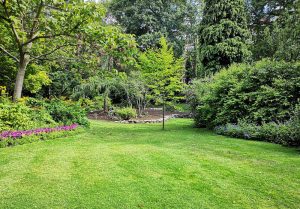 Optimiser l'expérience du jardin à Servieres-le-Chateau